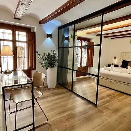 Apartamento Werentvlc - Encantador Loft Casco Antiguo *