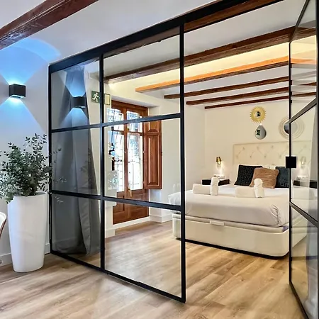 Werentvlc - Encantador Loft Casco Antiguo Valência